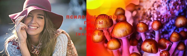 MDMA Заволжск