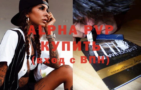 спиды Заводоуковск